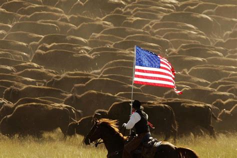 10 Tips For Photographing The Buffalo Roundup