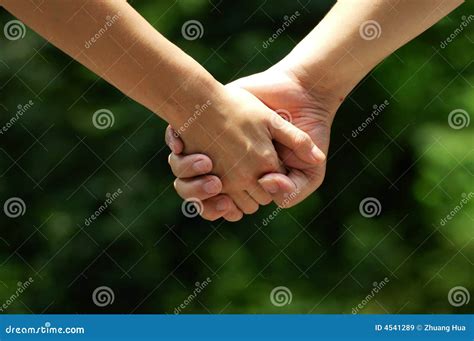 Hands of lovers stock image. Image of darling, green, connected - 4541289