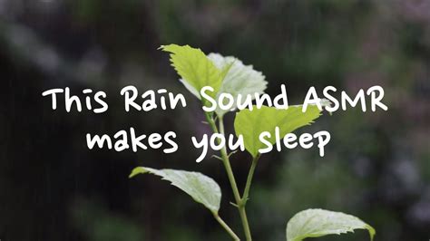 This Rain Sound Asmr Makes You Sleep Youtube