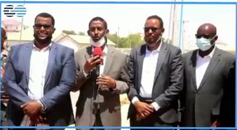 Garowe Online On Twitter Goats In Garowe Are Primarily Homeless And