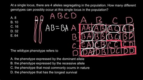 Definition Of The Wild Type Phenotype Youtube