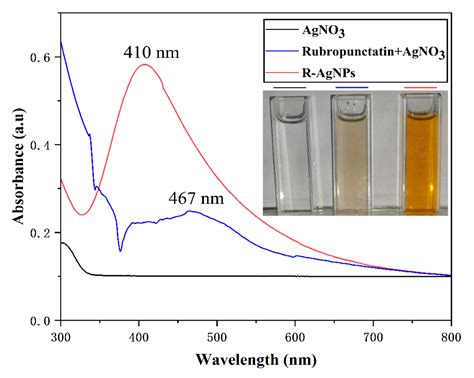 Nanomaterials Free Full Text Eco Friendly Green Synthesis Of Rubropunctatin Functionalized