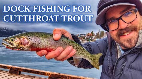 Dock Fishing For Cutthroat Trout Lake Chelan YouTube