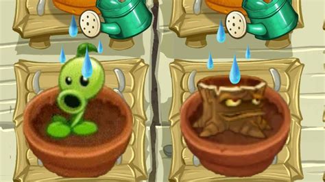 All Animation Fire Plants In Zen Garden Plants Vs Zombies 2 Youtube