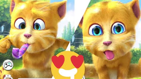 Ginger Cat Talking Tom Funny Game Talkingtom Gameplay Video