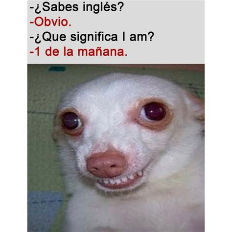 Que significa I AM Memes divertidos Memes en inglés Memes nuevos