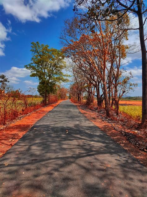 Road Scenery in Autumn Season - PixaHive