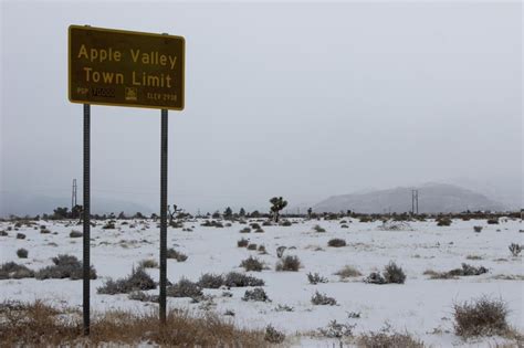 78 best images about The Beautiful Mojave Desert on Pinterest | Hummingbirds, Mountain lion and ...