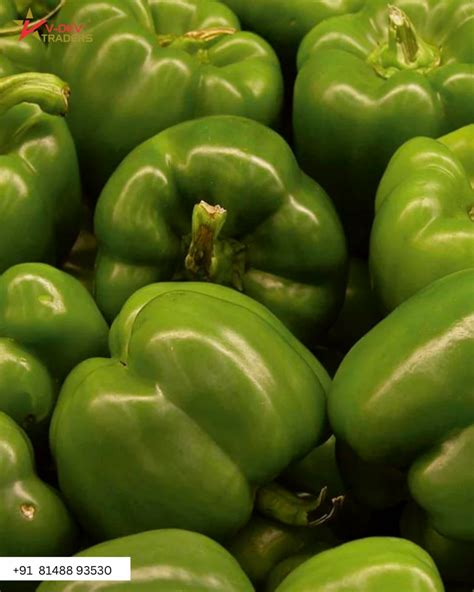 A Grade Fresh Green Capsicum Pan India Packaging Size Kg At Rs