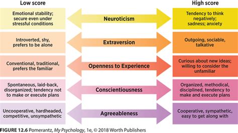 PSY 103 Module 9 Theories Of Personality Flashcards Quizlet