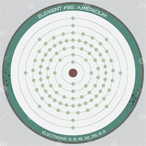 Detailed Infographic Of Americium Stock Vector Illustration Of