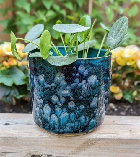 A Potted Plant Sitting On Top Of A Wooden Table