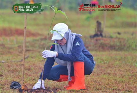 Gelorakan Program Revolusi Hijau Dishut Kalsel Gelar Aksi Pemeliharaan