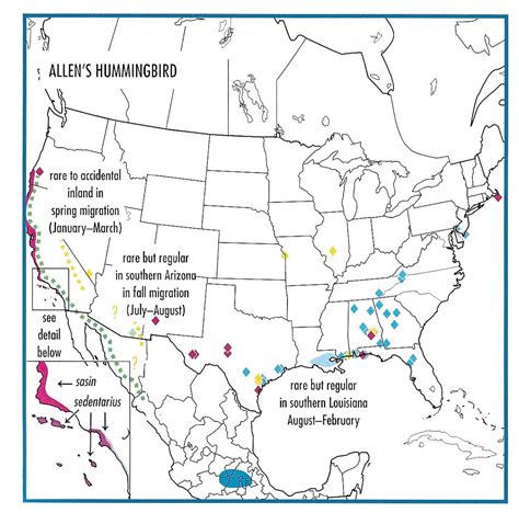 Migration Of Hummingbirds Map