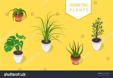 Isometric Plant Modern Pot Small Set Stock Vector Royalty Free