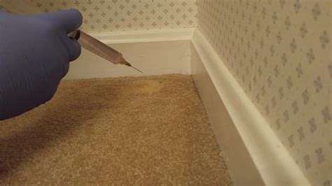 Bleach Spot Color Repair On Residential Carpet Youtube