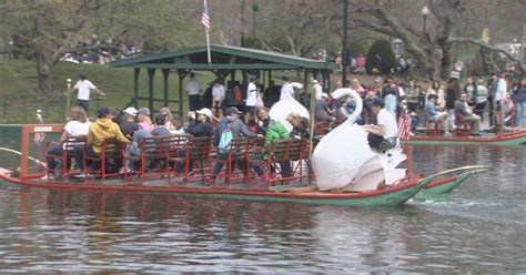 Swan boats return to Boston's Public Garden for the spring - CBS Boston