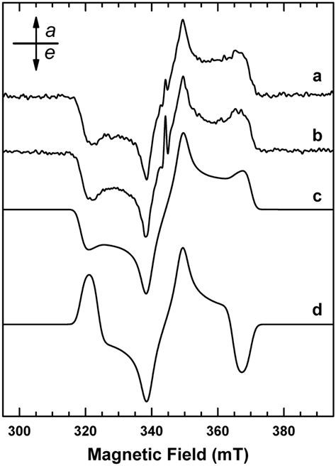 X Band Triplet Tr Epr Spectra Of A Marina Thylakoids That Were A Download Scientific Diagram