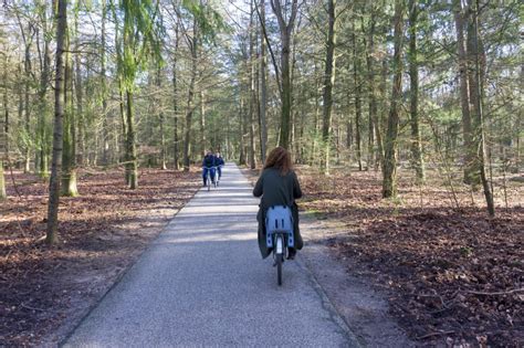 Op Walkabout Door De Grootste Beeldentuin Van Europa FollowFox