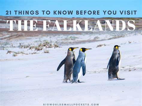 Issues To Know Earlier Than You Go To The Falkland Islands All