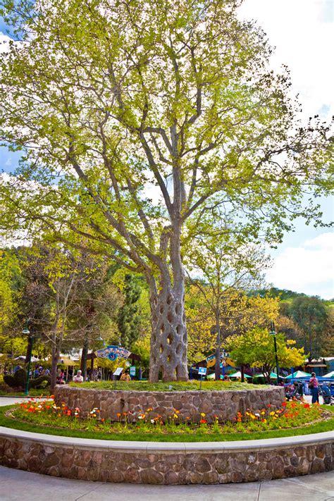 Gilroy Gardens Where Fun Grows On Trees Visit Gilroy