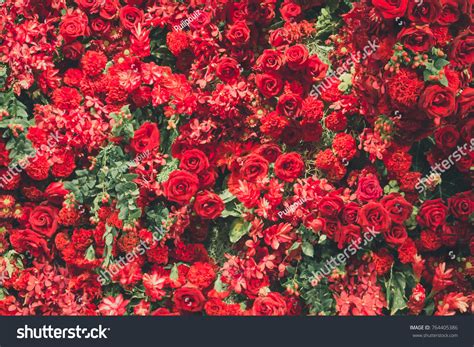 Red Flower Texture Images: Browse 1,576,675 Stock Photos & Vectors Free ...