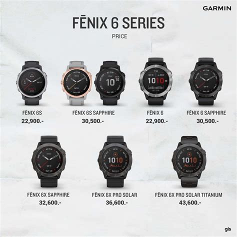 Garmin fenix 5 plus - packagedase