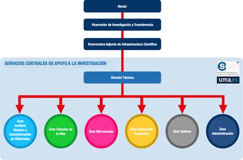 Organigrama y directorio SERVICIOS CENTRALES DE APOYO A LA INVESTIGACIÓN