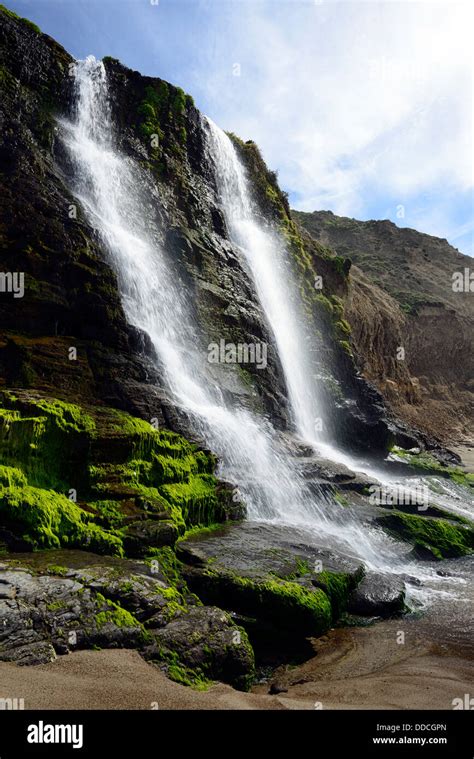 Alamere Falls Waterfall Tidefall Wildcat Beach Point Reyes National