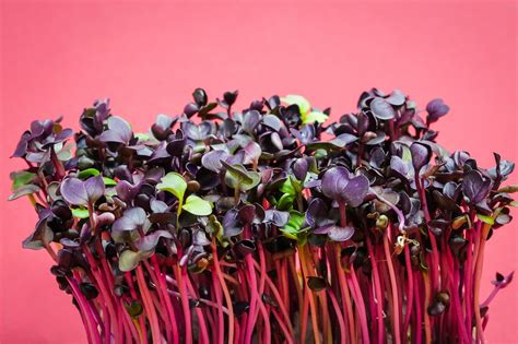 1000000 Free 岩石のcress And Nature Images Pixabay