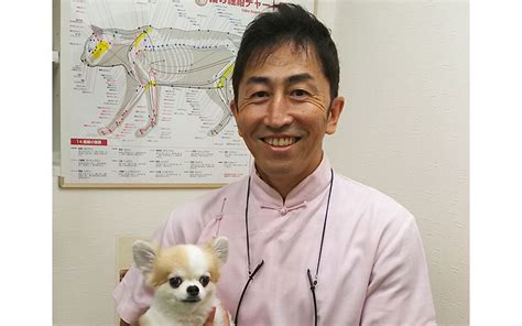 とよなが動物病院｜犬・猫の健康診断を推進｜teamhope 動物病院リレー紹介