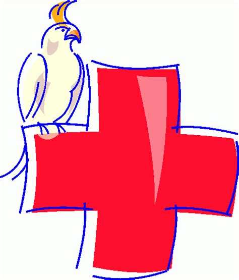 Free Red Cross Clipart, Download Free Red Cross Clipart png images ...