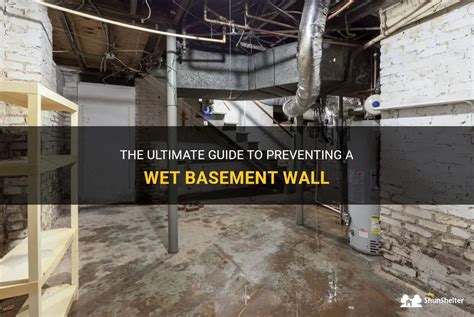 The Ultimate Guide To Preventing A Wet Basement Wall Shunshelter