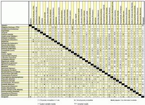 Iv Drug Compatibility Chart | amulette