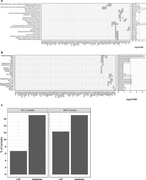 Multi Omic Analysis Reveals Significantly Mutated Genes And Ddx3x As A