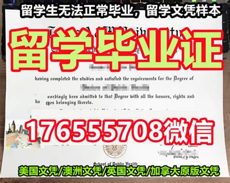 留学生佛罗里达州立大学毕业证办证，学历证书，留学毕业证 Ppt