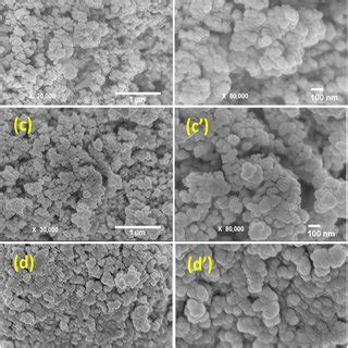 SEM Mapping Image And EDX Spectra Of Pure PbS A1 A2 And 5 0 Wt