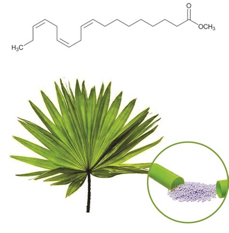 Saw Palmetto Extract Beadlets manufactures & Saw Palmetto Extract Powder