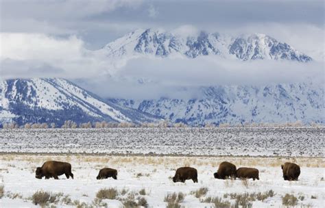 The Best National Parks to Visit in the Winter – Bearfoot Theory