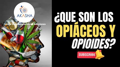 CONOCES LA DIFERENCIA ENTRE OPIÁCEOS Y OPIOIDES YouTube