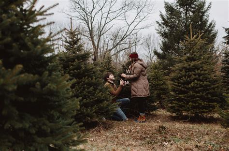 Christmas Tree Farm Proposal: Chelsea + Joe | Green Wedding Shoes | Weddings, Fashion, Lifestyle ...