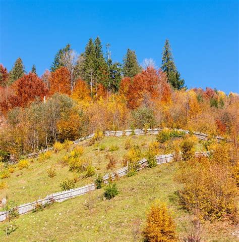 Autumn Carpathians Ukraine Stock Photo Image Of October Scenic