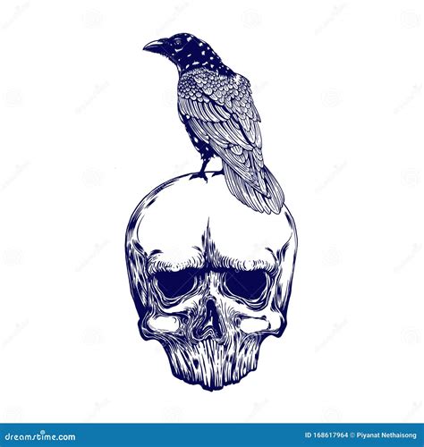 Crow On Skull Isolated On White Hand Drawn Vector Art Sketch Vector