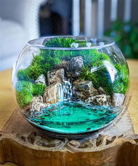 Aquamarine Ocean Cove Waterfall Terrarium With Jungle Green Live Moss 2