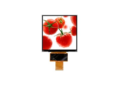 Z50075 High Luminance 1000nits 5 Inch 600x600 Square LCD Panel MIPI