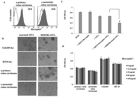 Bispecific Anti‑cd3 X Anti‑her2 Antibody Mediates T Cell Cytolytic