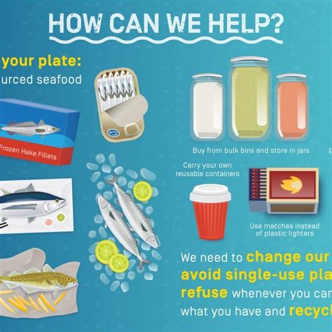 Infographics Save Our Seas Foundation