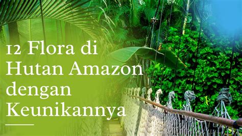 Jenis Tumbuhan Yang Ada Di Hutan Amazon Youtube