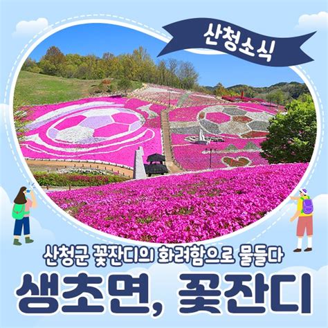 경남 산청 생초면 꽃잔디의 화려함으로 물들었어요~ 경상남도 산청군 웰로