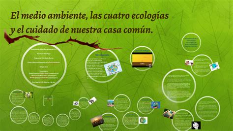 El Medio Ambiente Las Cuatro Ecologías Y El Cuidado De Nuestra Casa